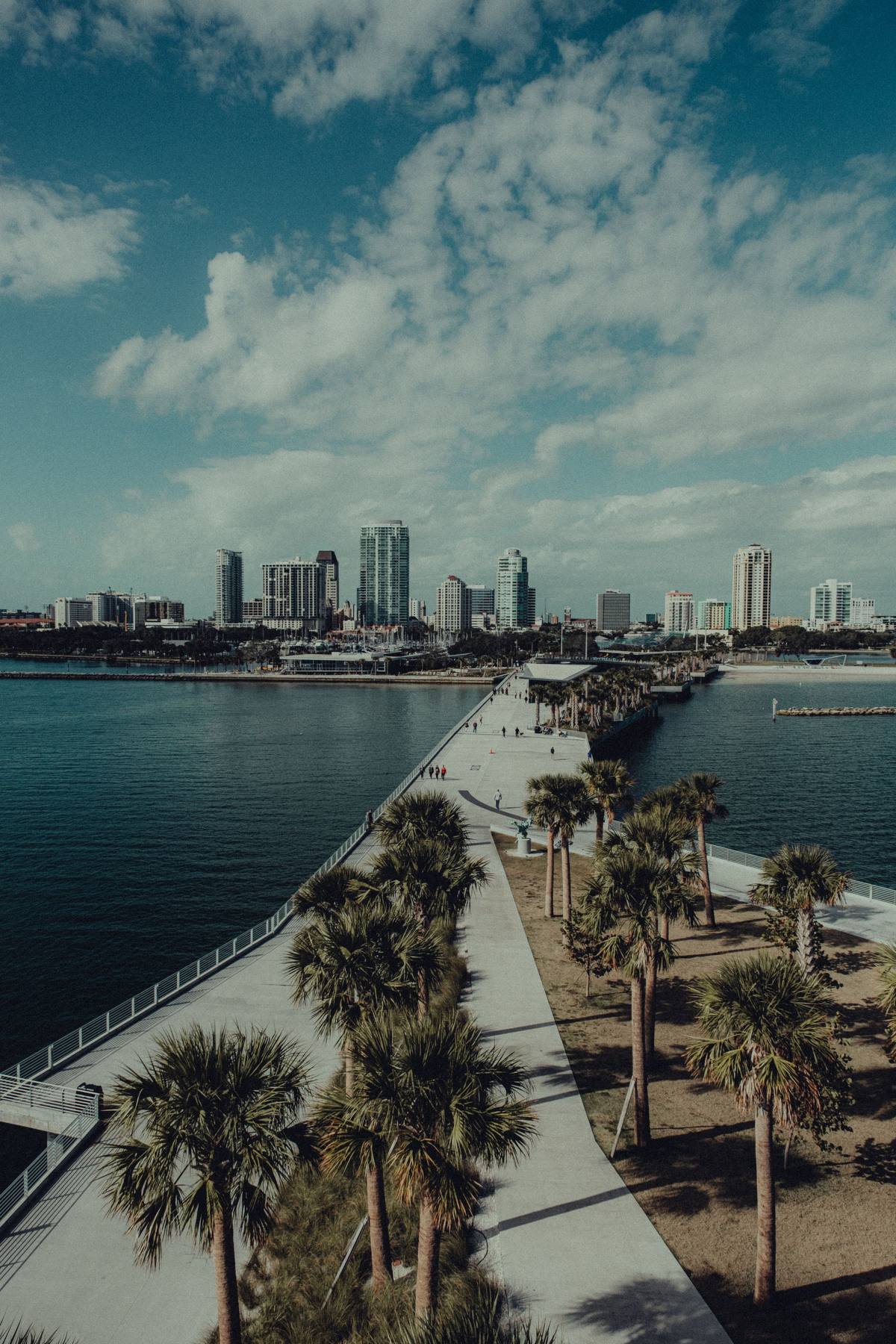 St. Petersburg waterfront and skyline with palm trees